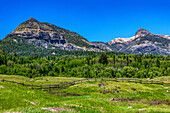 Landschaft am Stausee Williams Creek Reservoir,  San Juan National Forest, zwischen Pagosa Springs und Lake City, Rocky Mountains, Colorado, USA