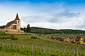 Weinberge und Gotische Wehrkirche Saint-Jacques, Hunawihr, Grand Est, Haut-Rhin, Elsass, Frankreich