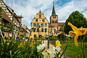 Rathaus, Turckheim, Grand Est, Haut-Rhin, Elsass, Frankreich