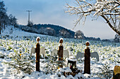 Verschneite Engelsfiguren, Glottertal, Schwarzwald, Baden-Württemberg, Deutschland