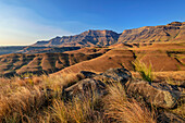 View of Drakensberg from Langalibalele Ridge, Langalibalele Ridge, Giant's Castle, Drakensberg Mountains, Kwa Zulu Natal, Maloti-Drakensberg UNESCO World Heritage Site, South Africa