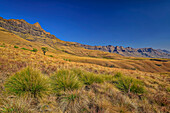 Drakensberg from Contour-Path, Giant's Castle, Drakensberg, Kwa Zulu Natal, Maloti-Drakensberg UNESCO World Heritage Site, South Africa