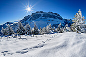 Blick auf Steinlingalm und Kampenwand im Winter, vom Sulten, Chiemgauer Alpen, Oberbayern, Bayern, Deutschland