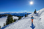 Woman on ski tour ascending to Dobratsch, Karawanken in background, Dobratsch, Gailtal Alps, Carinthia, Austria