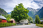 Strasse im Dorf Oeye, Norangsdalen, Koeniginnenroute, Moere og Romsdal, Vestlandet, Norwegen