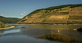 An der Flussmündung Rhein-Nahe-Eck mit Weinbergen am Niederwald und die Burgruine Ehrenfels, Oberes Mittelrheintal, Hessen und Rheinland-Pfalz, Deutschland
