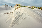 Sand dunes in Amrum, North Friesland, Schleswig-Holstein, Germany, Europe