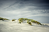 Sanddünen auf Juist, Ostfriesische Inseln, Niedersachsen, Deutschland, Europa
