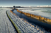 Fields at the Horumer Tief in winter, Wangerland, Friesland, Lower Saxony, Germany, Europe