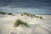 Sand dunes in Juist, East Frisian Islands, Lower Saxony, Germany, Europe