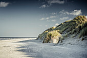 Düne am Strand von Baltrum, Ostfriesische Inseln, Niedersachsen, Deutschland, Europa