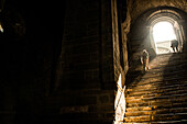 Sacra di San Michele, Turin, Piemont, Italien