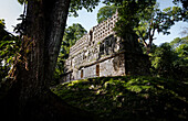 'Ancient Jungle World', Mayan Temple, Archaeological site deep in the Jungle, Yaxchilán, Chiapas, Mexico