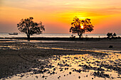 Abendstimmung mit warmen Farben beim Sonnenuntergang am Meer mit Silhouette von Bäumen und Booten, Strand im Westen der Insel Sansibar, Tansania, Afrika
