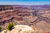 Ausblick in die tiefe Schlucht des Grand Canyon mit dem Colorado Fluss tief unten, Grand Canyon Nationalpark, Arizona, Vereinigte Staaten