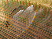 Irrigation on a field with rainbow seen from the air, Germany