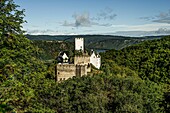 Burg Sterrenberg und das Rheintal bei Kamp-Bornhofen im Morgenlicht, Oberes Mittelrheintal, Rheinland-Pfalz, Deutschland