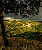 Schönburg und das Rheintal bei Oberwesel im Abendlicht, Oberes Mittelrheintal, Rheinland-Pfalz, Deutschland