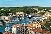 Port of Bonifacio, view from the citadel, blue hour, Corsica, France, Europe