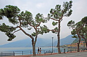 Seafront promenade, Domaso, Lake Como, Lombardy, Italy