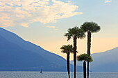 View of Lake Maggiore from the lake promenade in Ascona, Ticino, Switzerland