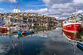 Mevagissey townscape and harbor, Cornwall, England, United Kingdom, Europe