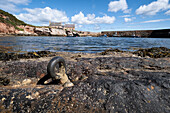 Blick auf einen verlassenen Hafen, East Lothian, Schottland, Vereinigtes Königreich