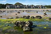 View of North Berwick Beach at low tide, Milsey Bay, North Berwick, East Lothian, Scotland, United Kingdom