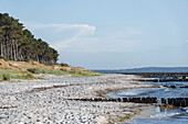 Beach section with groynes, core zone of the Western Pomerania Lagoon Area National Park, Hiddensee Island, Mecklenburg-West Pomerania, Germany