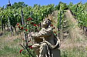 Maria im Weingarten bei Volkach am Main, Unter-Franken, Bayern, Deutschland