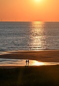 Sonnenuntergang am Strand von Egmont aan Zee bei Alkmaar, Noord-Holland, Niederlande