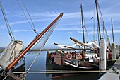 kleiner Hafen am Fähranleger Nes auf der Insel Ameland, Friesland, Niederlande