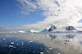 Antarktis; antarktische Halbinsel bei Yalour Island; Schnee bedeckte Berge; im Meer endende Gletscher; kleinere Eisschollen treiben vor der Küste