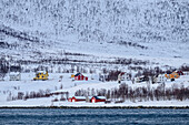 Rote, gelbe und weiße Häuser am Gryllefjord, Senja, Troms og Finnmark, Norwegen