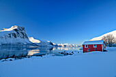 Rotes Haus am Nordfjord, Skaland, Senja, Troms og Finnmark, Norwegen
