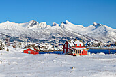 Red houses at Nordfjord, Senja, Troms og Finnmark, Norway