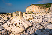 Strand an der Steilküste aus Kreidefelsen in der Normandie, Frankreich