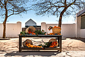 Tangerines for sale, Babylonstoren, old farm, wine farm, Franschhoek, Western Cape Province, Stellenbosch, Cape Winelands, South Africa, Africa