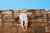 Ein Büffelschädel an der Außenwand des Handelspostens Pima Point in Ganado, Arizona, USA
