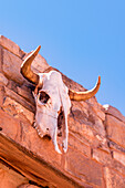 Ein Büffelschädel an der Außenwand des Handelspostens Pima Point in Ganado, Arizona, USA