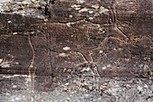 Norwegen, Steinkjer, Bøla, Felsen mit Steinritzungen, das Bølarentier, 6000 Jahre alt