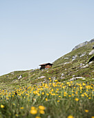 Hütte inmitten der Stubaier Berge, Neustift im Stubaital, Tirol, Österreich