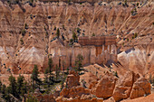 Close view of rock formations and pinnacles at the amphitheater in Bryce Canyon National Park.