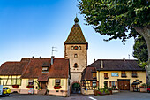 Stadttor Obertor in Bergheim, Elsass, Frankreich 