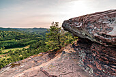 Gravur im Sandstein auf der Felsformation Geiersteine, Wernersberg, Pfälzerwald, Rheinland-Pfalz, Deutschland