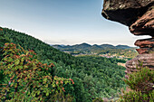 Auf dem Rötzenfels mit Blick auf Gossersweiler-Stein, Pfälzerwald, Rheinland-Pfalz, Deutschland