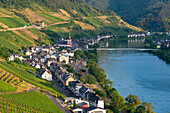 Zell an der Mosel, Moselle, Cochem-Zell district, Rhineland-Palatinate, Germany, Europe