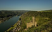 View from the Rheinsteig to Maus Castle and the Rhine Valley near St. Goarshausen-Wellmich, Upper Middle Rhine Valley, Rhineland-Palatinate, Germany