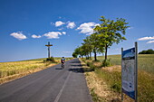Cyclist rides along road with crucifix and sign for hiking trails and cycle paths in the Hessisches Kegelspiel region, Hünfeld, Rhön, Hesse, Germany