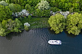 Aerial view of a Le Boat Horizon 4 houseboat on the River Thames, Windsor, Berkshire, England, United Kingdom